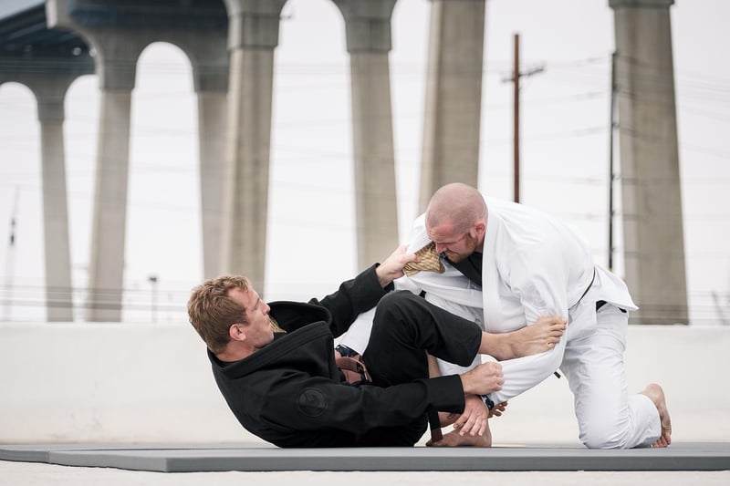 Chen Style Tai Chi